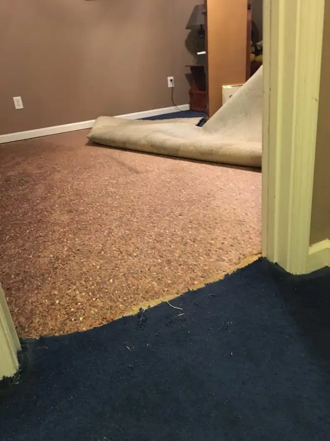 Carpet pad removal revealing water damage during Drying & Dehumidification in Lawrenceburg